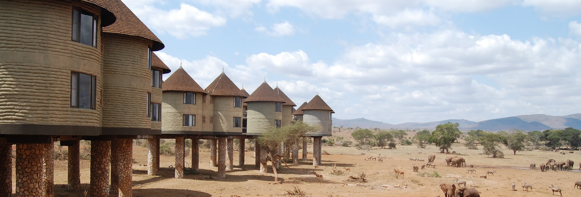 Read more about the article 3 Days Tsavo West & Taita Hills/Saltlick.