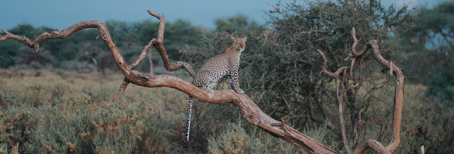 Read more about the article 4 Days Nairobi Mara Nakuru National Park